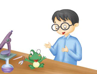 Ếch Xanh Tìm Bác Sĩ