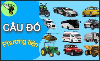Thiếp là một bậc tiểu thư, trâm cài, lược giắt, lúc thơ đầy đầu, đến khi thiếp lớn theo cầu, bông kiềng, vòng chuỗi cũng hầu sạch không.