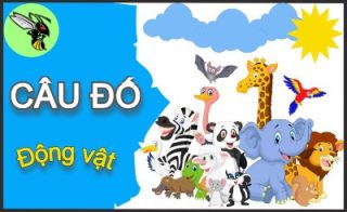 Tổng hợp câu đố dân gian có đáp án - Phần 71