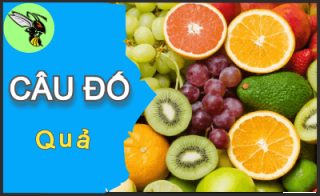 Tổng hợp câu đố dân gian có đáp án - Phần 116