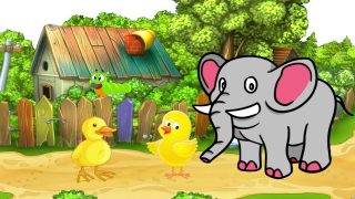 Chú voi tốt bụng