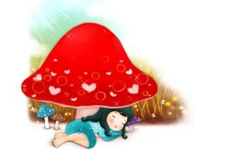 Sự tích hoa chua me đất