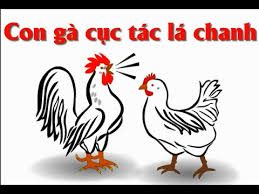 Con gà cục tác lá chanh
