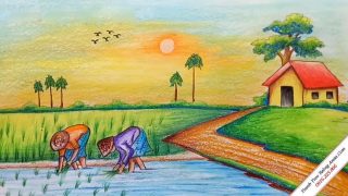 Đường về quê