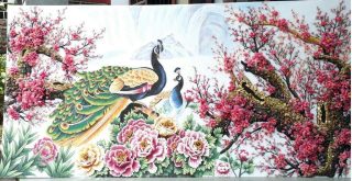 Chim công và họa mi