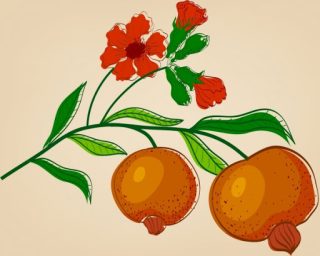 Hoa lựu đong đưa