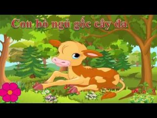 Con bò ngủ gốc cây đa