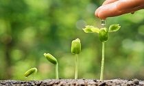 Khiếm khuyết hay lợi thế