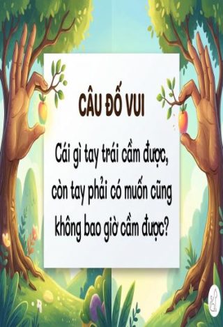 Giải Mã Câu Đố: Cái Gì Tay Trái Cầm Được Tay Phải Không Cầm Được?