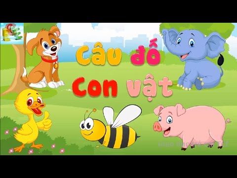 Tổng hợp câu đố dân gian có đáp án - Phần 6