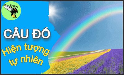 Tổng hợp câu đố dân gian có đáp án - Phần 15