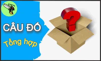 Chiều hôm chẳng thấy em đâu, tinh mơ tươi rói ở đâu em về, là cái gì?