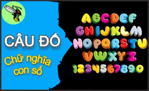 Từ nào trong tiếng Việt có chín mẫu tự h?