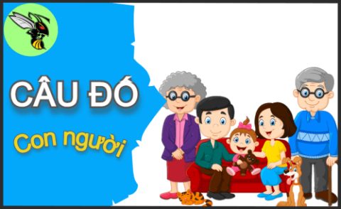 Tổng hợp câu đố dân gian có đáp án - Phần 100
