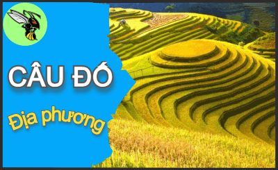 Tổng hợp câu đố dân gian có đáp án - Phần 40