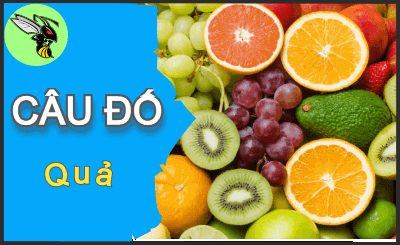 Hoa gì cánh mượt như nhung, lại mang sắc tím của màu dở dang?