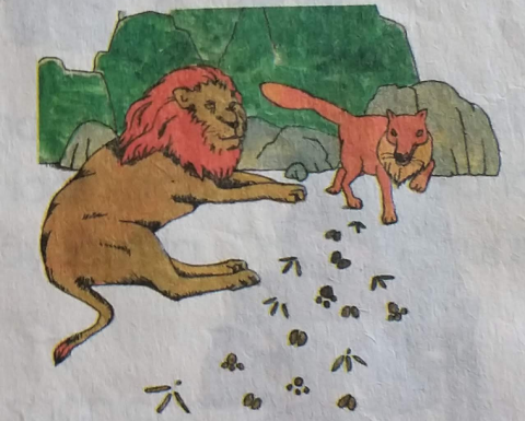 Sư tử, cáo và các loài thú