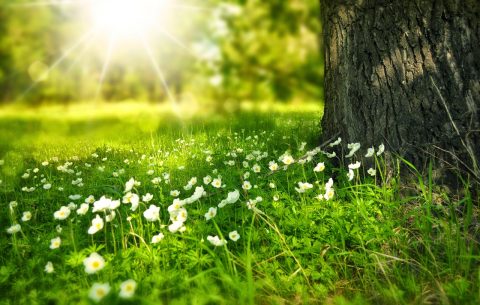 Buổi sáng - Good morning ^_^