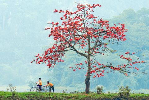 Bao giờ cho đến tháng ba