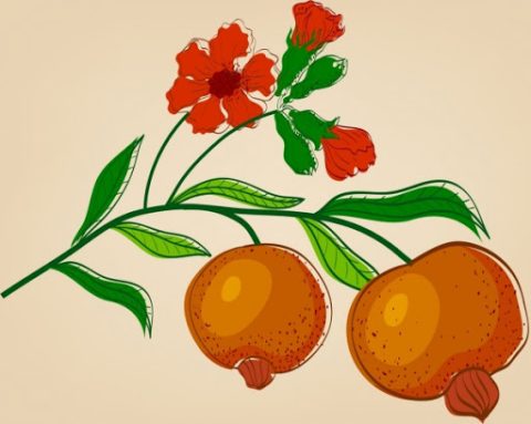 Hoa lựu đong đưa