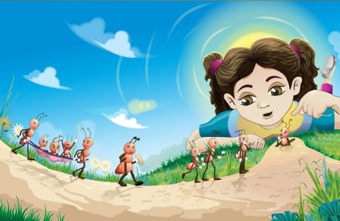 Đàn kiến nó đi