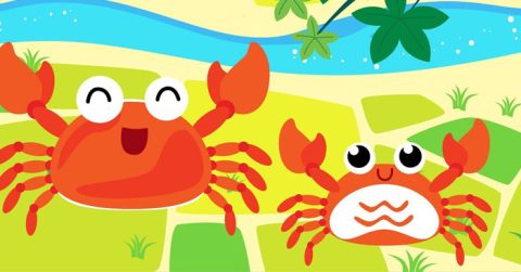 The two crabs