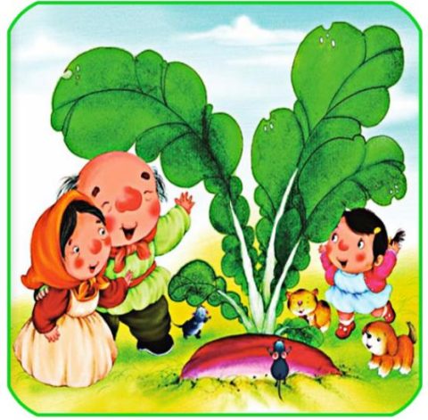Nhổ củ cải
