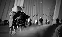 Người tuyệt vời nhất